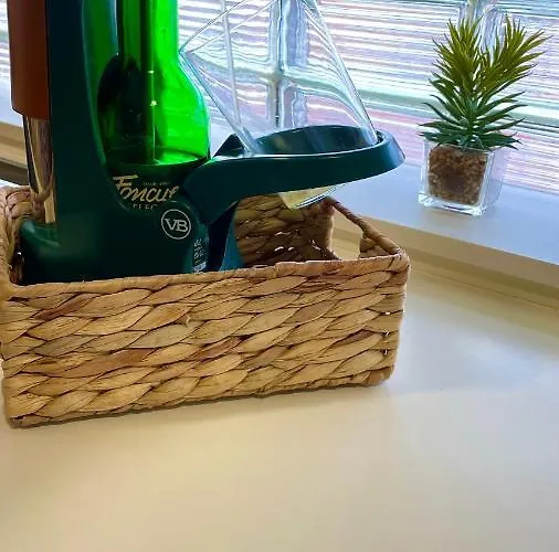 Auditorio Parking Gratuito Www Venaoviedo Es Apartamento *