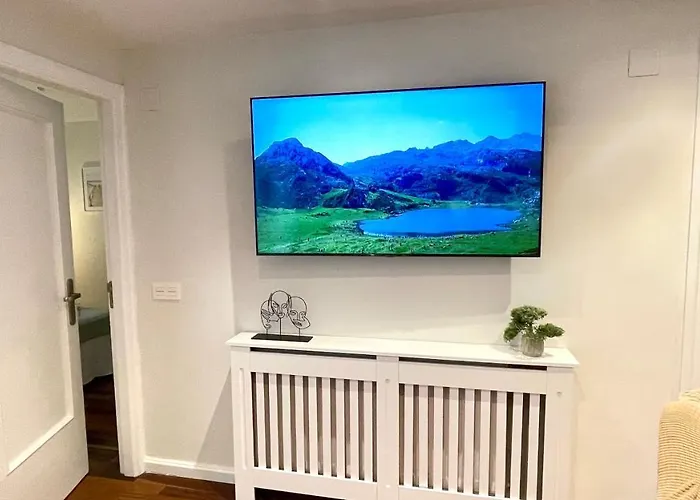 Auditorio Parking Gratuito Www Venaoviedo Es Oviedo