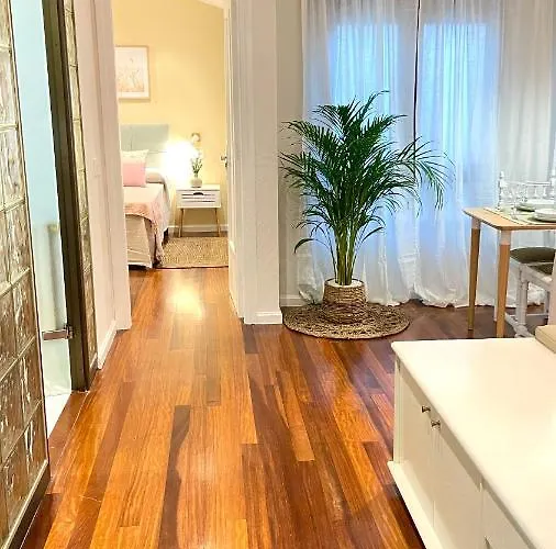 Auditorio Parking Gratuito Www Venaoviedo Es * Oviedo