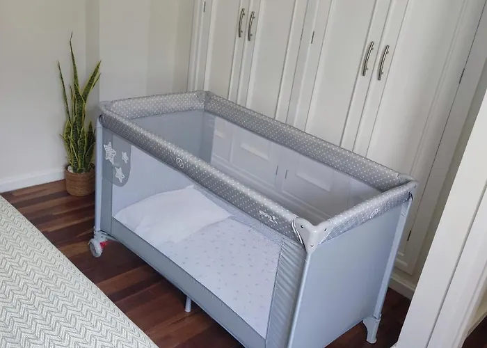 Auditorio Parking Gratuito Www Venaoviedo Es * Oviedo